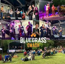 bluegrass festival ireland