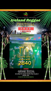 reggae festival ireland