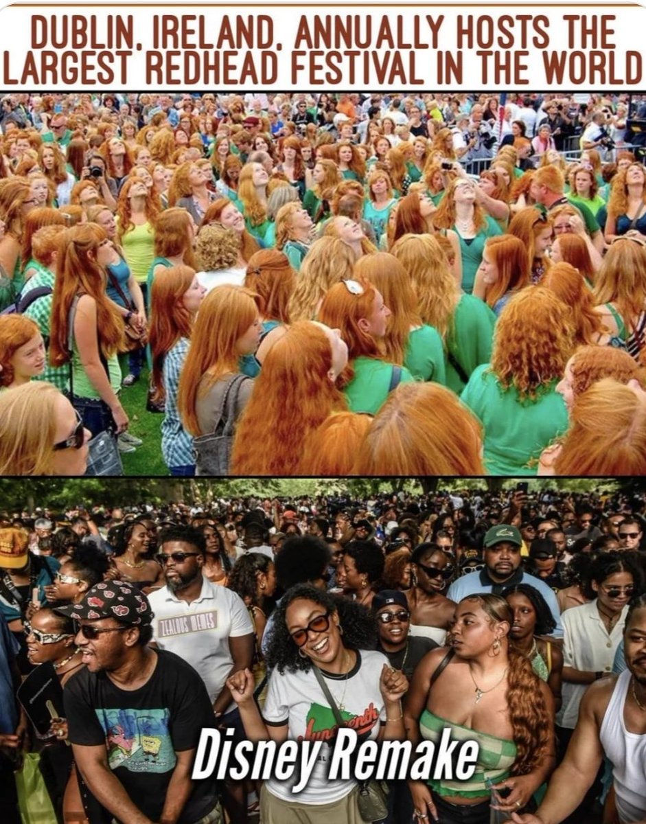 ginger festival ireland