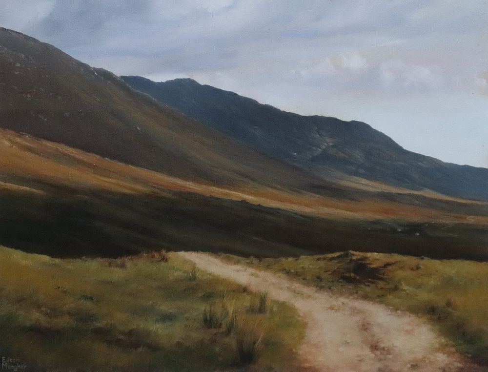 irishlandscape